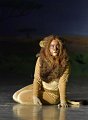Lionking 0100